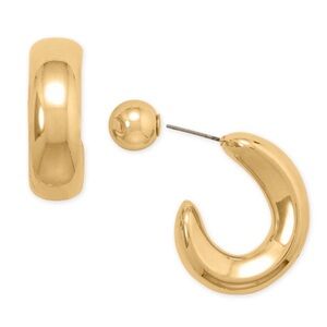 NWT Gold Hoop Earrings